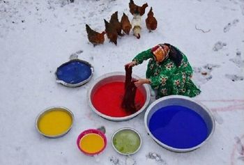 Dyeing-Saeed Ghasemi-WikiRug.jpg