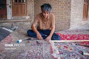 Qazvin Carpet 3-Shayan Moazed-WikiRug.jpg