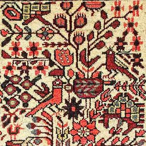 Rudbar-Rugs-Rugman-Collection.jpg