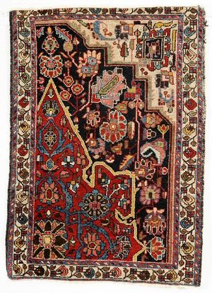 Bakhtiari Rug-Vagireh.jpg